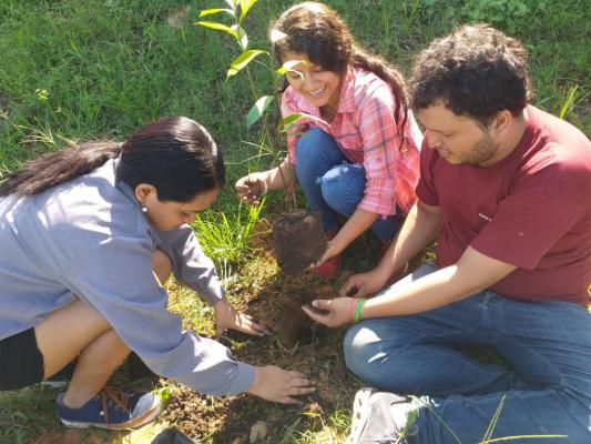 GERFOR impulsa arborización 1