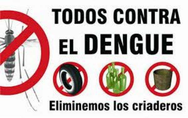 Lucha contra el dengue