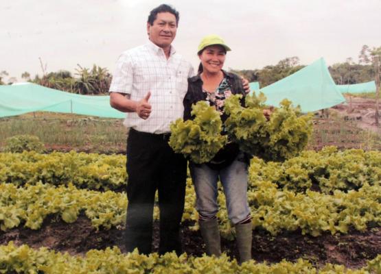 Seguridad alimentaria1