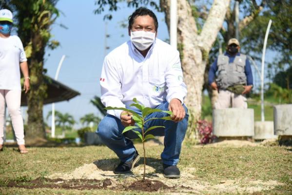 Lanzamiento del proyecto Arborización Iquitos Metropolitano (2)