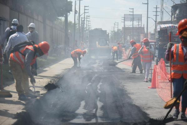 Bacheo en la Avenida La Marina (1)