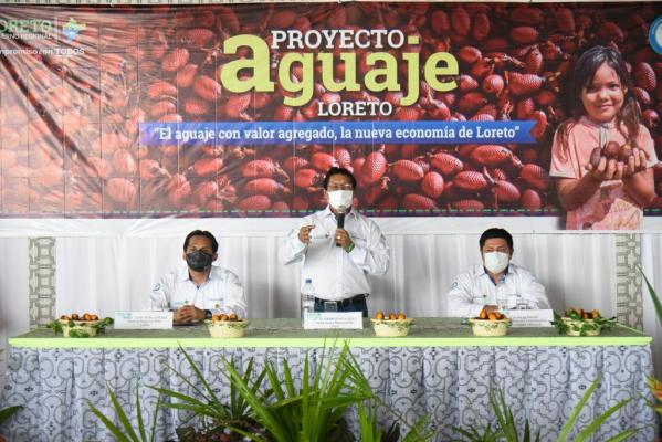 Proyecto Aguaje (1)