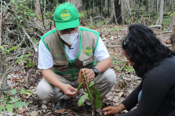 Gorel promueve el Proyecto Cacao (1)