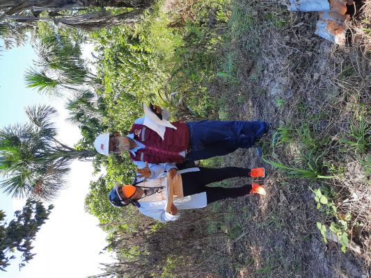 DREM brinda asistencia a mineralizacion formal