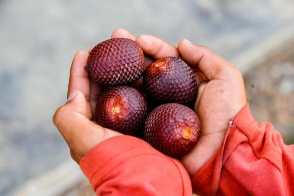 Planta de procesamiento de aceite de aguaje