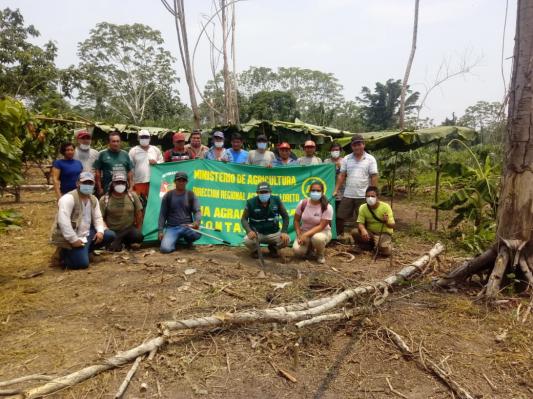 DRAL realiza capacitacion de cultivo de cacao