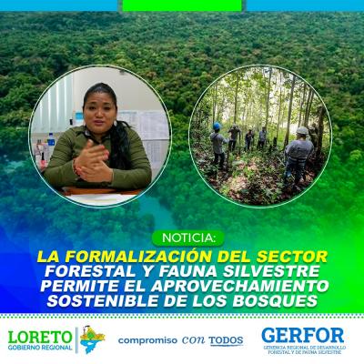 Formalizacion del sector forestal