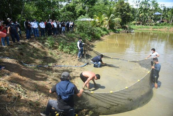 Proyecto Psicola en Alto Amazonas