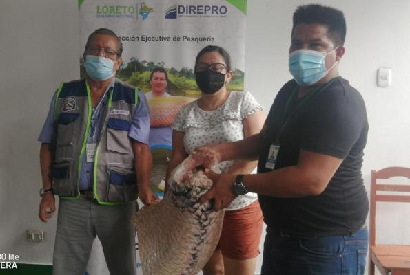 DIREPRO dona piezas de paiche a parroquia Bagazan