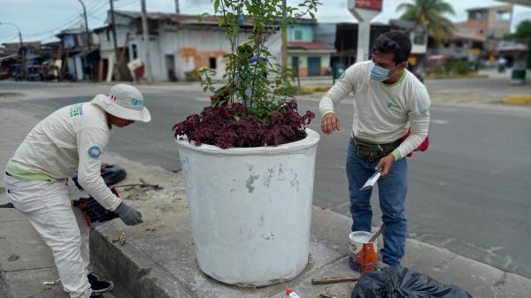 Proyecto Arboriazcion (2)